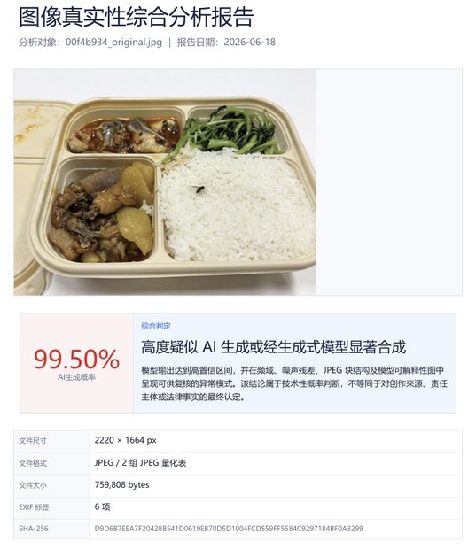 图像真实性综合分析报告示例
